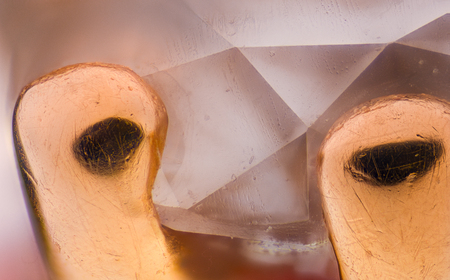 Extreme magnification - Diamond golden ring detailsの写真素材