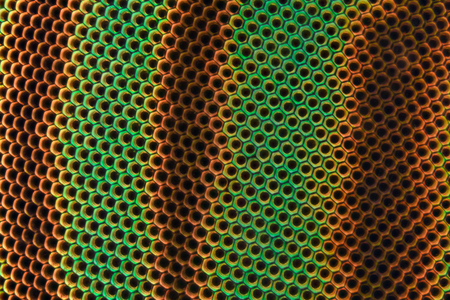 Extreme magnification - Horse fly compound eye under the microscopeの写真素材
