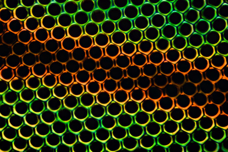 Extreme magnification - Horse fly compound eye under the microscopeの写真素材