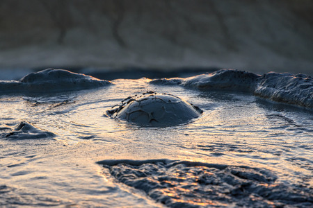 Muddy Volcanoes, Buzau,Romania
