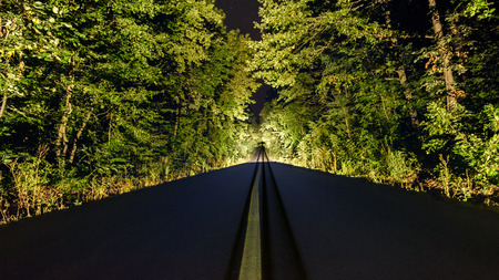 Forest road at nightの写真素材