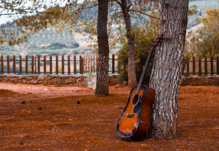 guitar outdoors laying on a tree and dead yellow leafs on the ground at a park an autumn sunny day