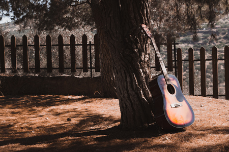 guitar on a tree shade at a forest autumn scenery noonの写真素材