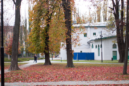 autumn scenery park peple walking at a park with leaves on the ground and white buildingの写真素材