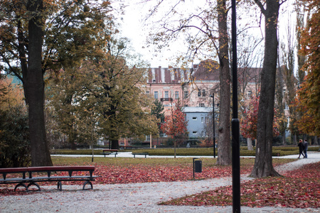 autumn scenery park peple walking at a park with leaves on the ground and white buildingの写真素材