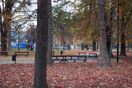 autumn scenery park peple walking at a park with leaves on the ground and white buildingの写真素材