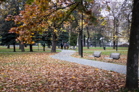 autumn scenery park peple walking at a park with leaves on the groundの写真素材