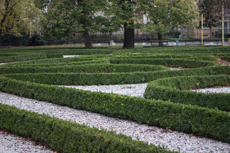 trimmed bushes and old building at a park town center slovakia kosiceの写真素材