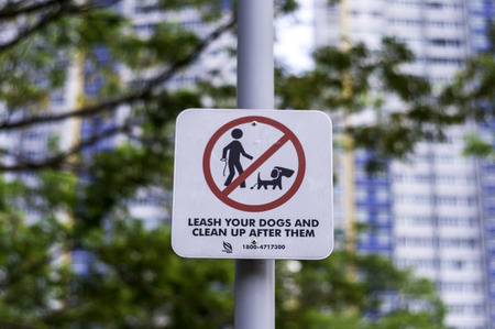 Pick A Pooの写真素材