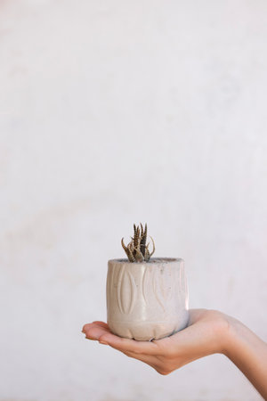 Woman holding a flowerpot on whiteの写真素材