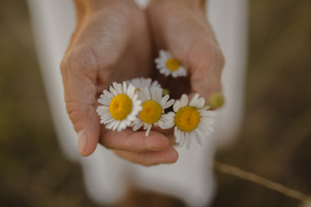 woman holding flowers on a fieldの写真素材