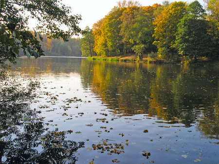 Autumn wood around of lake in a sunny day of Octoberの写真素材