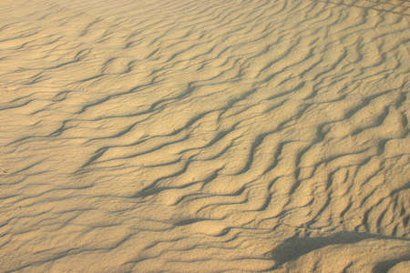 Yellow sand of desert Sahara in beams of a rising sunの写真素材