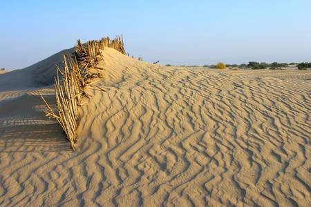 The barrier not giving to sand to fall asleep an oasisの写真素材