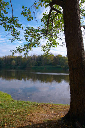  Linden on coast of lake in autumn solar September dayの写真素材