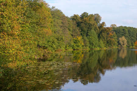 Autumn wood around of lake in a sunny day of Septemberの写真素材