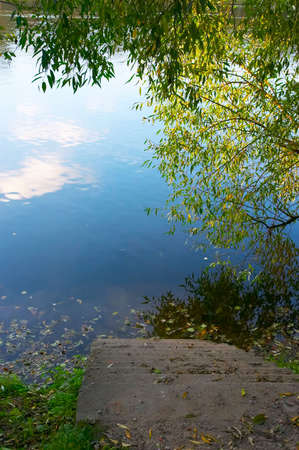 Ladder to lake surrounded with trees with yellow autumn leavesの写真素材