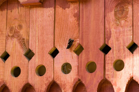 background picture of the knotty fence and small butterfly on themの写真素材