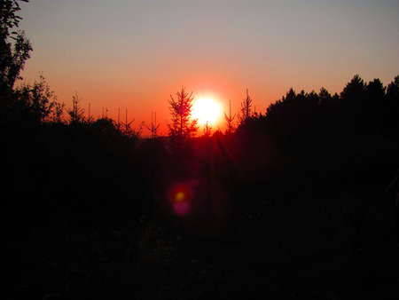 sunsetの写真素材