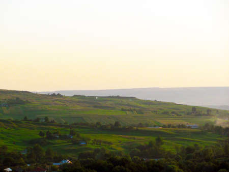 flowerの写真素材