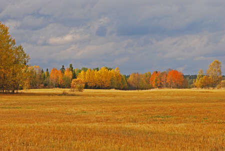 Autumn landscapeの写真素材