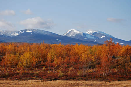 Autumn landscape in Swedish mountainの写真素材