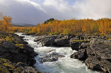 Beautiful autumn scene: around river in Abisko national-park.の写真素材