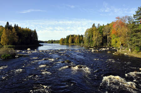 River in autumnの写真素材
