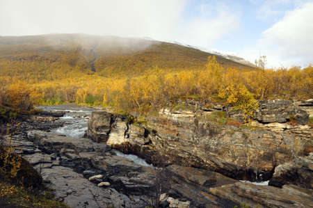 Abisko national-park in autumnの写真素材