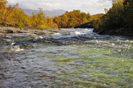 Abisko national-park in autumnの写真素材