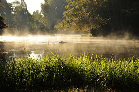 Autumn lake in sunriseの写真素材