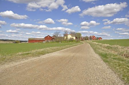 A rural road to a farm in Sweden at springの写真素材