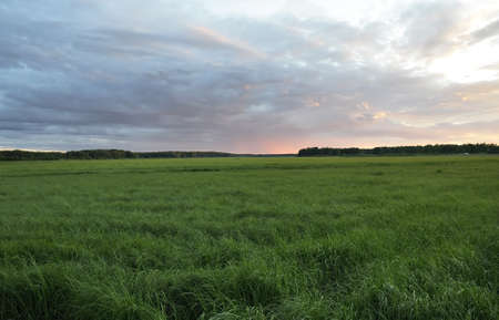 Grassland at sunset
