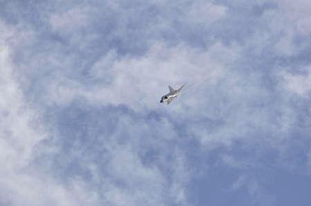 Dala - Jarna, Sweden - 11 August: Scandinavian airshow with Viggen AJS 37 F at Dala - Jarna, Sweden August 11, 2012gのeditorial素材