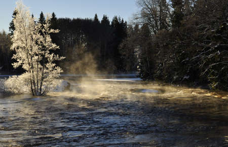 River in winter and  tree branches covered with white frost
