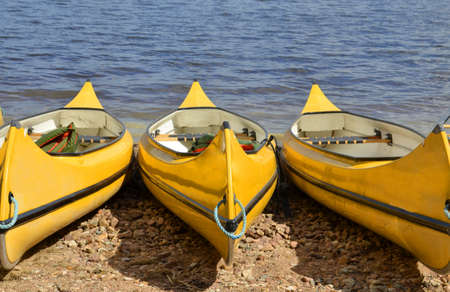 Canoes on beach in summerの写真素材