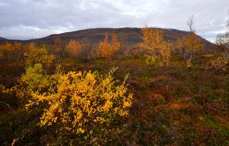 Mountain landscape, Abisko national parkの写真素材
