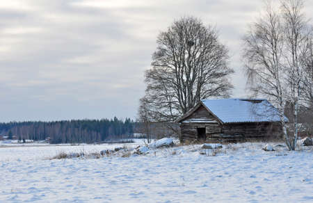 Barn in agricultural landscape in winterのeditorial素材