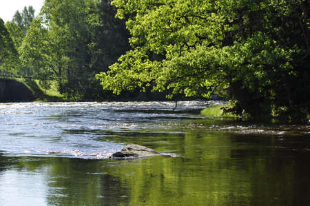 Flowing river in spring surrounded by green treesの写真素材