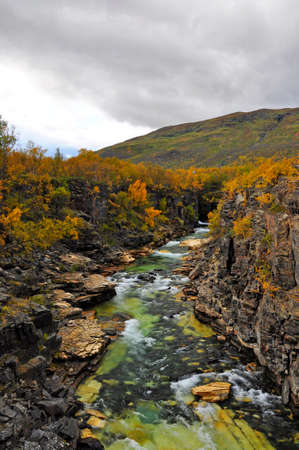 River in autumn. Abisko national parkの写真素材