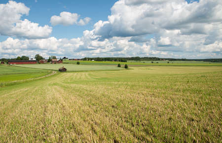 Scenic view of a agricultural landscape in summerの写真素材