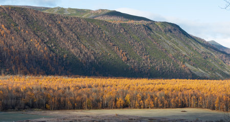 Kamchatka, view from the recreation center "Gorny Klyuch" to the nearest mountainsの写真素材