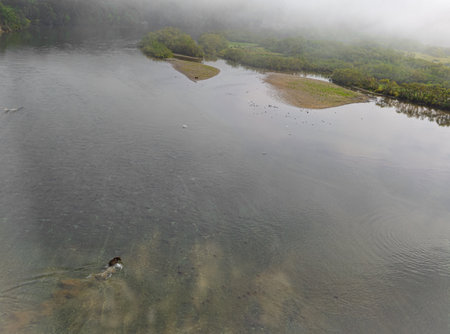 Kamchatka, shooting bears on the Kuril lakeの写真素材