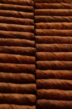 Pattern of cigars arranged next to each othersの写真素材