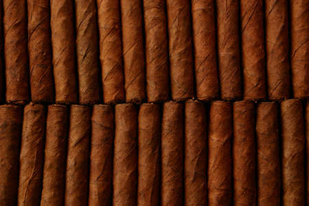 Pattern of cigars arranged next to each othersの写真素材
