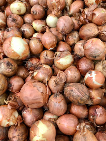 Freshly harvest yellow onion at market. Selective focus.の写真素材