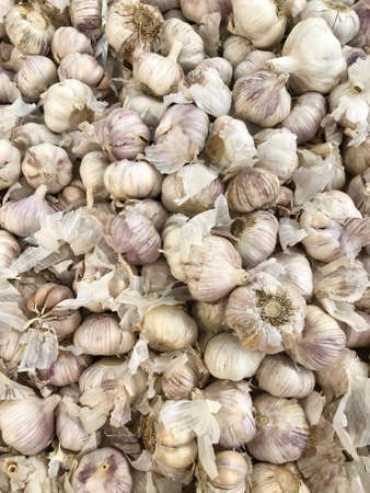 Pile of fresh raw garlic at grocery. Selective focus.の写真素材