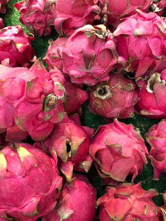 Fresh harvest ripe red dragon fruit. Selective focus.の写真素材