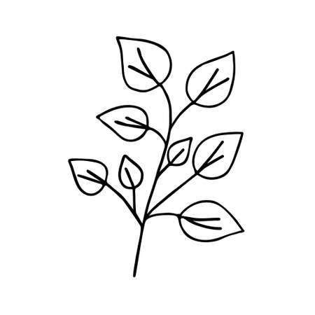 Leaves simple outline vector minimalist concept illustration, thin line hand drawn floral branch, element for invitations, greeting cards, booklet designのイラスト素材