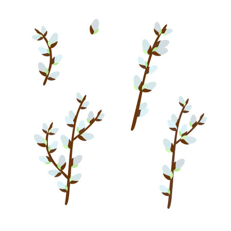 Pussy willow branches set, willow tree twigs vector floral illustration for spring holidays decor, greeting cards, invitations, banners, web designのイラスト素材